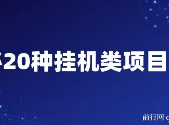 揭秘20种挂机类网创项目玩法：小白轻松上手，日入潜力可观