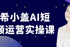 南希小盖AI短视频运营实操课：巧用AI打造吸睛短视频