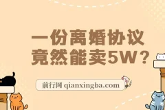 离婚协议书项目：婚恋市场冷门商机，小白可尝试