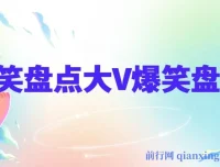 价值1000的搞笑盘点大V（丁某人）爆笑盘点详细课程+抽帧软件，助力中视频变现