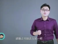 《股票投资从入门到精通：实战技巧与策略全解析课程》