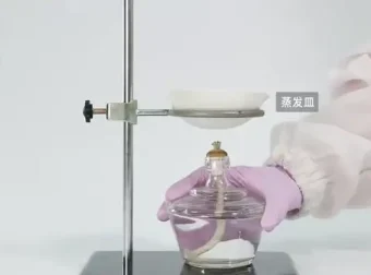 乐乐课堂全学科学习资源：涵盖小学到高中，含国学与科学实验
