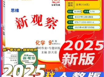 2025版九年级化学《思维新观察》上下册学习资料