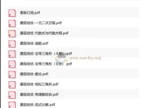 蘑菇培优初中数学小绿皮（9册）：初中数学学习资料