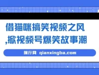 借猫咪搞笑视频打造视频号爆笑故事项目课程：无门槛快速入门