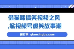 借猫咪搞笑视频打造视频号爆笑故事项目课程：无门槛快速入门