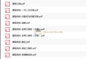 蘑菇培优初中数学小绿皮（9册）：初中数学学习资料