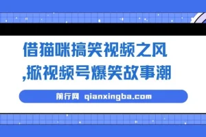 借猫咪搞笑视频打造视频号爆笑故事项目课程：无门槛快速入门