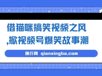 借猫咪搞笑视频打造视频号爆笑故事项目课程：无门槛快速入门