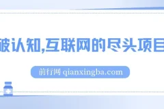 打破认知：互联网尽头项目，轻松月入五位数教程