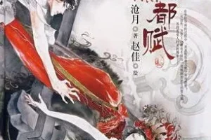 沧月小说改编有声小说《大漠荒颜·帝都赋》22集全
