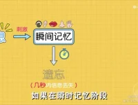 超强记忆力训练：全学科高效提分秘籍，12节精品课程告别死记硬背