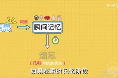 超强记忆力训练：全学科高效提分秘籍，12节精品课程告别死记硬背
