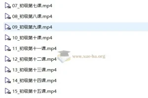 中央音乐学院初级音基考试视频课程：助力音乐基础学习