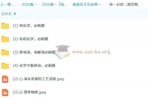 吕子正2025高一化学必修一必修二精华课