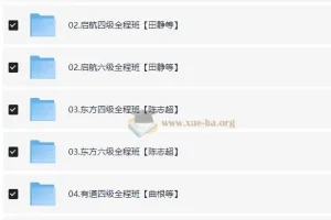 2025四六级最新课程全程班：石雷鹏、田静等名师授课