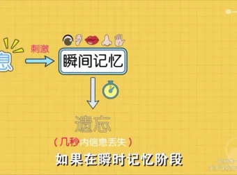 超强记忆力训练：全学科高效提分秘籍，12节精品课程告别死记硬背