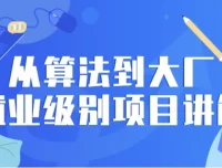 从算法到大厂就业级别项目讲解课程