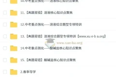 陈潭飞2025初三化学中考培训班（春上·全国版·A+）