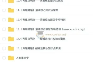 陈潭飞2025初三化学中考培训班（春上·全国版·A+）