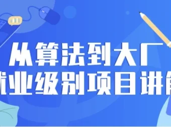 从算法到大厂就业级别项目讲解课程