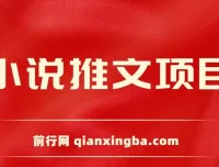 小说推文项目：新人6天实现每日三位数收益分享课