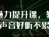 个人魅力提升课：教你说话声音好听不累嗓