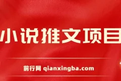 小说推文项目：新人6天实现每日三位数收益分享课