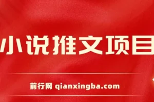 小说推文项目：新人6天实现每日三位数收益分享课