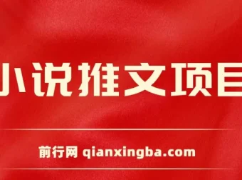 小说推文项目：新人6天实现每日三位数收益分享课