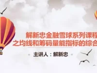 解新忠《职业操盘手筹码技术》课程