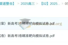 浙大优学2025版《靶心靶向卷》（数学）：新高考I卷模拟试卷