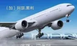 阿瑟·黑利职场小说《航空港》82集全