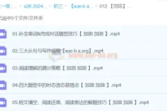 【完结】2024中考英语复习冲刺课程