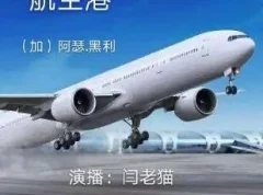 阿瑟·黑利职场小说《航空港》82集全