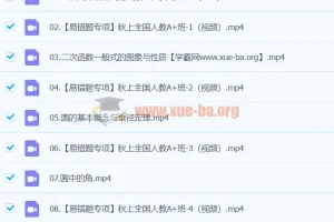 2024届王杭州初三数学A+暑假班