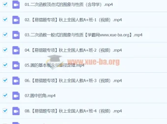 2024届王杭州初三数学A+暑假班