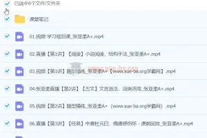 2024高一张亚柔高中语文春季班