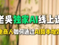 天诺老吴AI课：电商企业借助DeepSeek实现降本增效