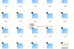 马思瑞英语系列课程：42天口语养成计划+美式发音课+听力口语特训营