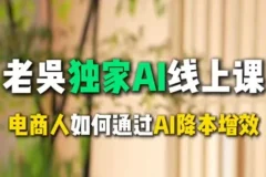 天诺老吴AI课：电商企业借助DeepSeek实现降本增效