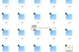 马思瑞英语系列课程：42天口语养成计划+美式发音课+听力口语特训营