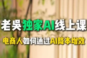 天诺老吴AI课：电商企业借助DeepSeek实现降本增效