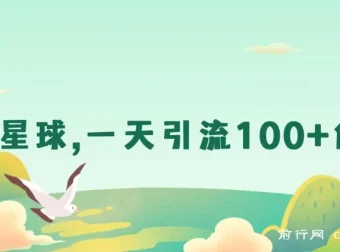 利用星球一天引流100+创业粉：实操项目介绍