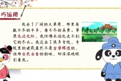云舒写小学作文成语60课：小学生作文高分秘籍