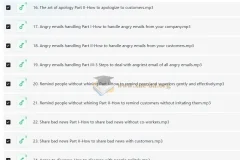 Wise Email Writing 商务英语邮件写作系列课程