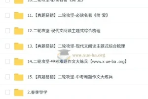 段微微初三语文中考语文培训班（春上·全国版·A+）