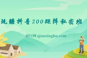 玩赚抖音200矩阵私密班课程