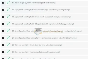 Wise Email Writing 商务英语邮件写作系列课程