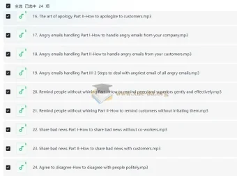 Wise Email Writing 商务英语邮件写作系列课程